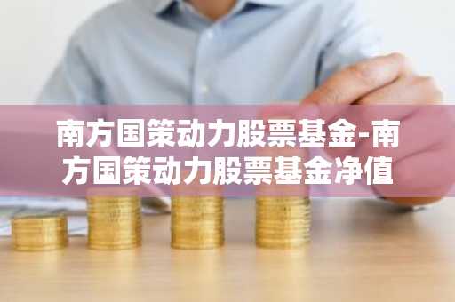 南方国策动力股票基金-南方国策动力股票基金净值