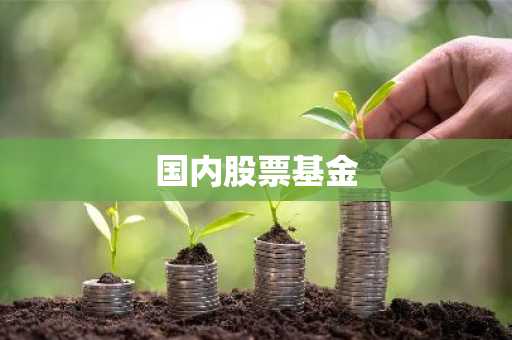 国内股票基金