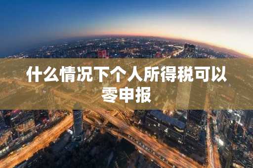 什么情况下个人所得税可以零申报