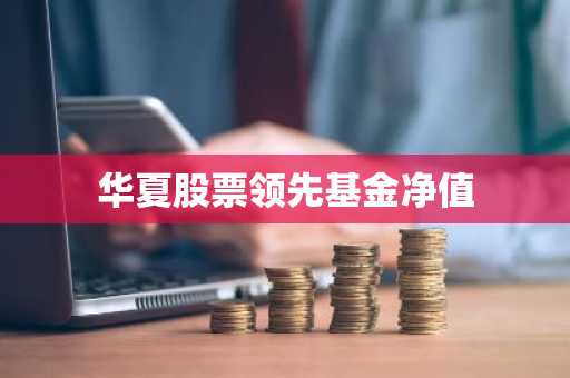 华夏股票领先基金净值
