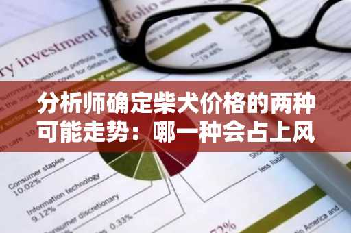分析师确定柴犬价格的两种可能走势：哪一种会占上风？