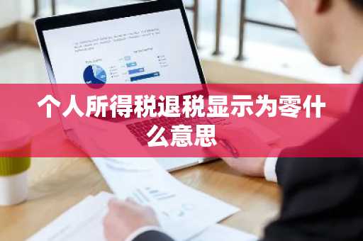 个人所得税退税显示为零什么意思