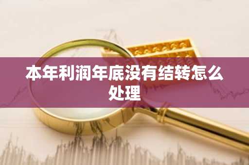 本年利润年底没有结转怎么处理