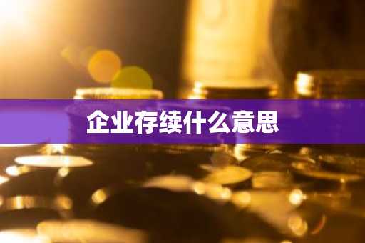 企业存续什么意思