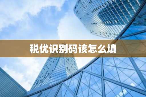 税优识别码该怎么填