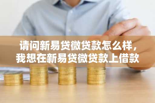 请问新易贷微贷款怎么样，我想在新易贷微贷款上借款。