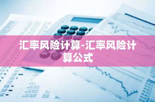 汇率风险计算-汇率风险计算公式