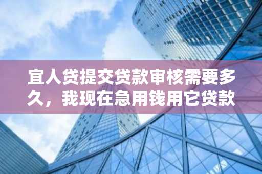 宜人贷提交贷款审核需要多久，我现在急用钱用它贷款可以吗？