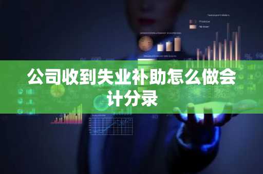 公司收到失业补助怎么做会计分录