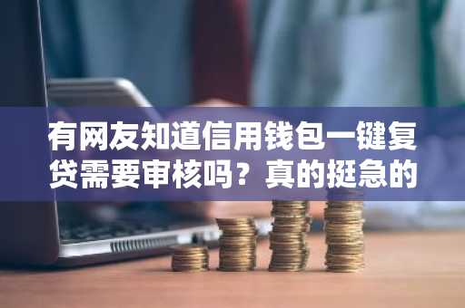 有网友知道信用钱包一键复贷需要审核吗？真的挺急的。