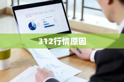 312行情原因