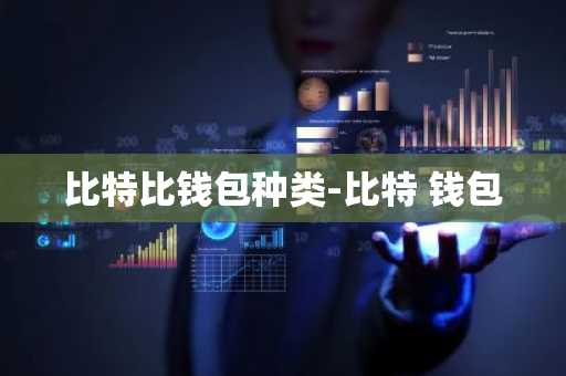 比特比钱包种类-比特 钱包