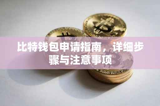 比特钱包申请指南，详细步骤与注意事项