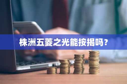株洲五菱之光能按揭吗？
