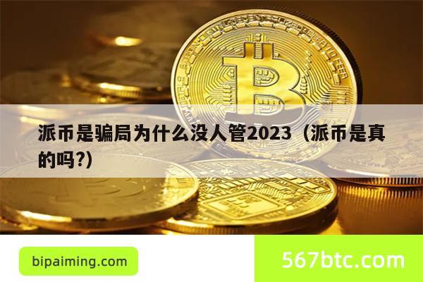 派币是骗局为什么没人管2023（派币是真的吗?）
