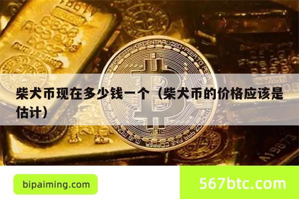 柴犬币现在多少钱一个（柴犬币的价格应该是估计）