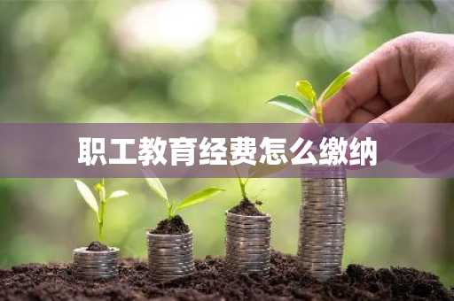 职工教育经费怎么缴纳