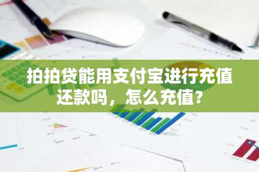 拍拍贷能用支付宝进行充值还款吗，怎么充值？