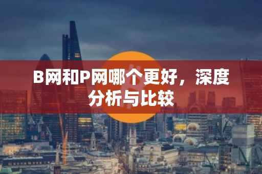 B网和P网哪个更好，深度分析与比较