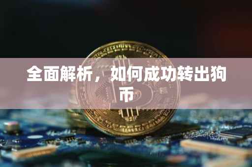 全面解析，如何成功转出狗币