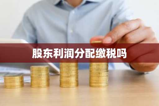 股东利润分配缴税吗