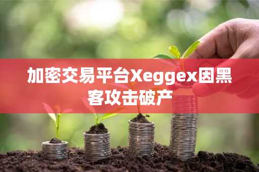 加密交易平台Xeggex因黑客攻击破产