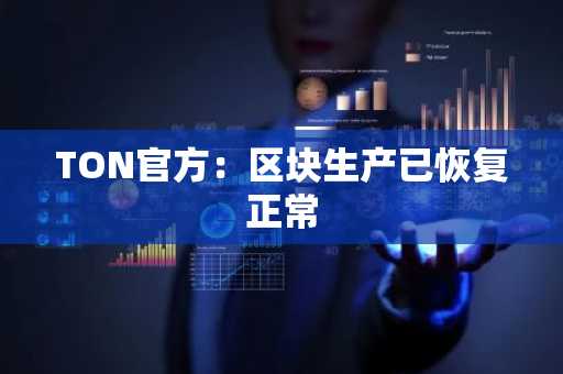 TON官方：区块生产已恢复正常