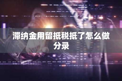 滞纳金用留抵税抵了怎么做分录