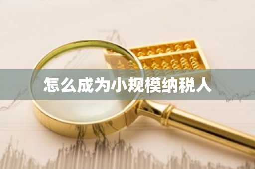 怎么成为小规模纳税人