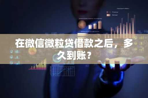 在微信微粒贷借款之后，多久到账？