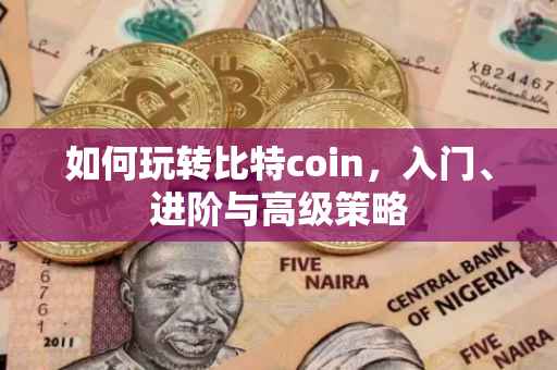 如何玩转比特coin，入门、进阶与高级策略