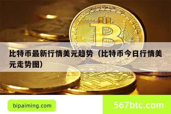 比特币最新行情美元趋势（比特币今日行情美元走势图）