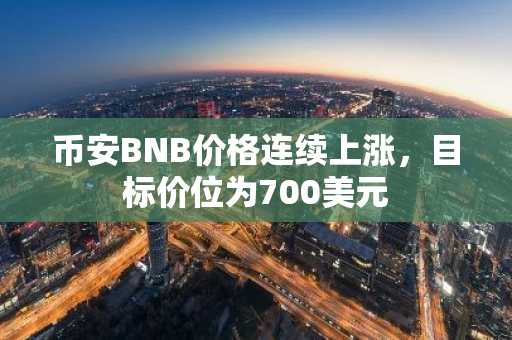 币安BNB价格连续上涨，目标价位为700美元