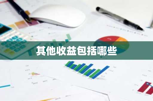 其他收益包括哪些