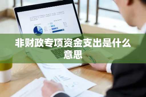 非财政专项资金支出是什么意思