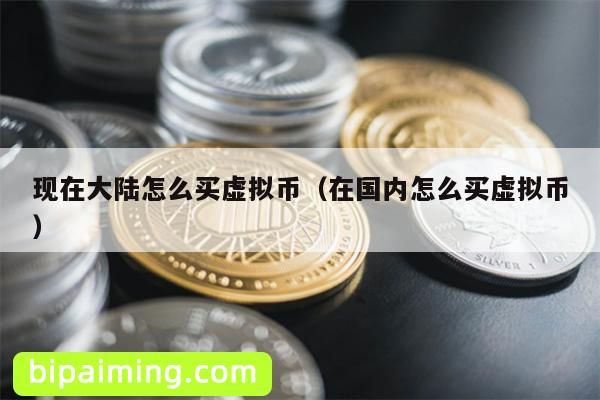 现在大陆怎么买虚拟币（在国内怎么买虚拟币）