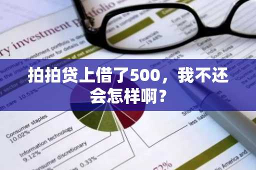 拍拍贷上借了500，我不还会怎样啊？