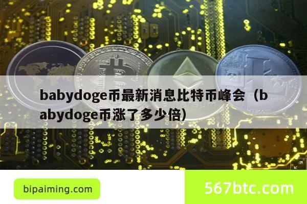 babydoge币最新消息比特币峰会（babydoge币涨了多少倍）