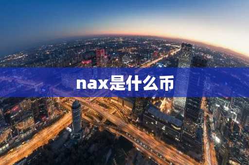 nax是什么币