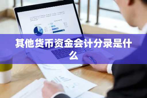 其他货币资金会计分录是什么