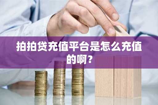 拍拍贷充值平台是怎么充值的啊？
