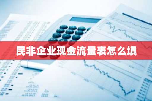 民非企业现金流量表怎么填