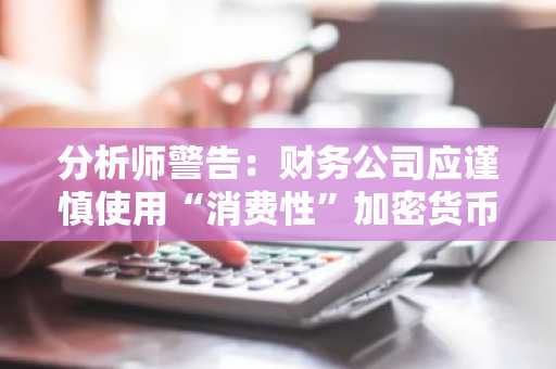 分析师警告：财务公司应谨慎使用“消费性”加密货币