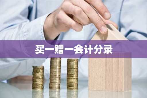买一赠一会计分录