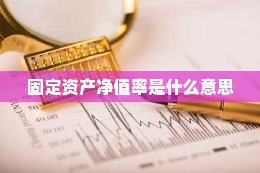 固定资产净值率是什么意思