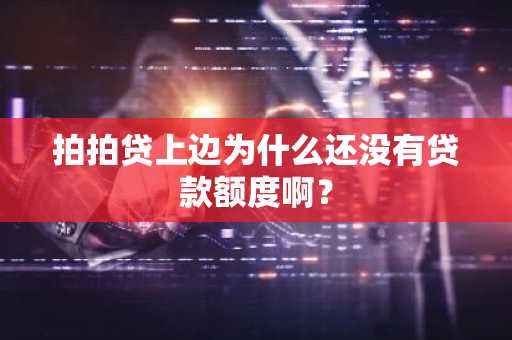 拍拍贷上边为什么还没有贷款额度啊？