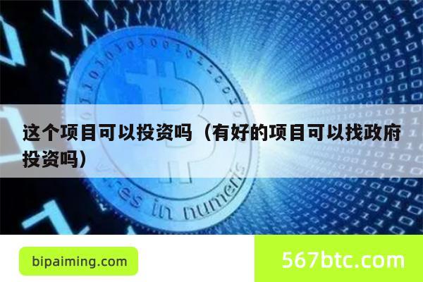 这个项目可以投资吗（有好的项目可以找政府投资吗）