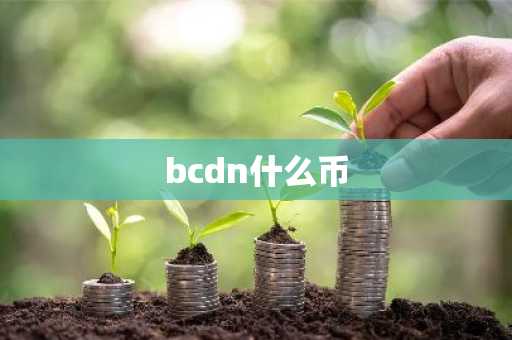 bcdn什么币