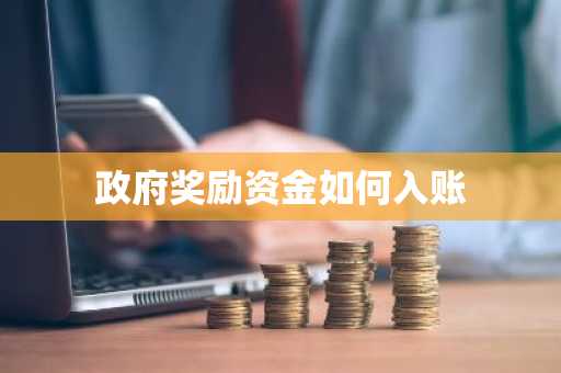 政府奖励资金如何入账