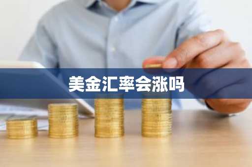 美金汇率会涨吗